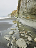 White Cliffs  Parininihi  Taranaki  North Island  New Zealand  Pacific