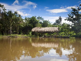 Warao Indian Hatched-Roof Huts Built Upon Stilts  Delta Amacuro  Orinoco Delta  Venezuela