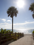 Atlantic Ocean  Miami Beach  Florida  USA