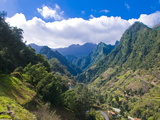Mountain Scenery  Madeira  Portugal  Europe