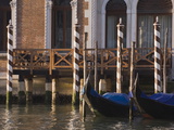 Morning Light  Mooring Poles on the Grand Canal  Venice  UNESCO World Heritage Site  Veneto  Italy