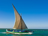 Traditional Sailing Boat in Waters of the Banc D'Arguin  Mauritania  Africa