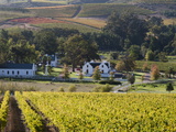 Zorgvliet Wine Estate  Stellenbosch  Cape Province  South Africa  Africa