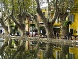 Cucuran  Provence  Vaucluse  France  Europe