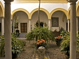 A Patio in the Alcazar  Seville  Andalusia  Spain  Europe