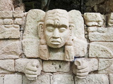 Sculpted Head Stone at Mayan Archeological Site  Copan Ruins  UNESCO World Heritage Site  Honduras