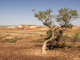 The Breakaways  Painted Desert  Coober Peedy  South Australia  Australia  Pacific
