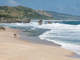 Mature Couple Walking on Bathsheba Beach  Barbados  Windward Islands  West Indies  Caribbean