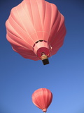 Hot Air Balloons  Los Lunas  New Mexico  United States of America  North America
