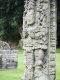 Stelae a Dating From 731 Ad Depicting Rabbit 18  Copan Ruins  Mayan Archaeological Site  Honduras