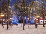 Christmas Decoration at Old Town Square's Park at Twilight  Stare Mesto  Prague  Czech Republic