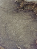 Hummingbird  Lines and Geoglyphs of Nasca  UNESCO World Heritage Site  Peru  South America