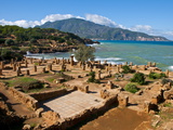 Roman Ruins of Tipasa  on the Algerian Coast  Algeria  North Africa  Africa