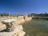 Hadrian's Bath  Leptis Magna  UNESCO World Heritage Site  Tripolitania  Libya  North Africa  Africa
