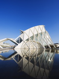 Science Museum  Architect Santiago Calatrava  City of Arts and Sciences  Valencia  Spain  Europe