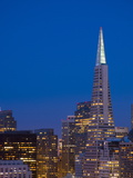 Downtown and Transamerica Building  San Francisco  California  USA