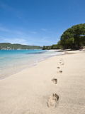 Lower Bay  Bequia  St Vincent and the Grenadines  Windward Islands  West Indies  Caribbean