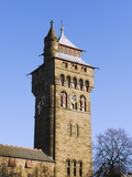 Cardiff Castle  Cardiff  Wales  United Kingdom  Europe