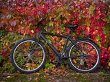 Bicycle  Leipzig  Saxony  Germany  Europe