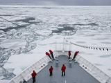 Ship Breaking Through Ice Floe and Drift Ice  Greenland  Arctic  Polar Regions