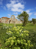 A View of Leiston Abbey  Suffolk  England  United Kingdom  Europe