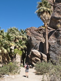 Hiking in Andreas Canyon  Indian Canyons  Palm Springs  California  USA