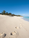 Warwick Long Bay  Jobson's Cove  Bermuda  Central America