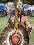 Dancer  Annual Indian Culture Festival in Balboa Park  San Diego  California
