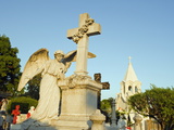 Cemetery  San Salvador  El Salvador  Central America