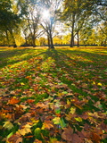 Hyde Park in Autumn  London  England  United Kingdom  Europe