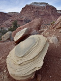 Tan Sandstone Boulder Among Red Rocks  Carson National Forest  New Mexico
