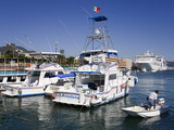 Fishing Boats on the Malecon  Acapulco City  State of Guerrero  Mexico  North America