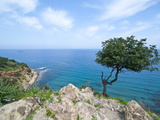 The Turquoise Waters on the Akamas Peninsula  Cyprus  Mediterranean  Europe