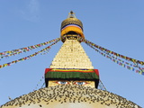 Pigeons and Prayer Flags on Boudha Stupa (Chorten Chempo)  Boudhanath  Kathmandu  Nepal  Asia