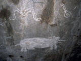 Rock Art  White Paintings  Elephant and Rain Snake  Tsodilo Hills  Ngamiland  Botswana  Africa