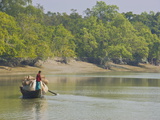 Little Rowing Boat in the Swampy Areas of the Sundarbans  UNESCO World Heritage Site  Bangladesh