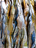 Glass Artist's Shop in Zweisel  Bavaria  Germany  Europe
