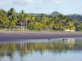 Vultures on the Beach at Playa Sihuapilapa  Pacific Coast  El Salvador  Central America