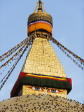 Pigeons and Prayer Flags on Boudha Stupa (Chorten Chempo)  Boudhanath  Kathmandu  Nepal  Asia