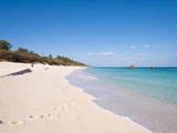 Warwick Long Bay  Jobson's Cove  Bermuda  Central America