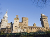 Cardiff Castle  Cardiff  Wales  United Kingdom  Europe