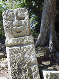 Sculpted Head Stone at Mayan Archeological Site  Copan Ruins  UNESCO World Heritage Site  Honduras