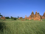Temples  Bagan (Pagan) Archaeological Site  Myanmar (Burma)  Asia