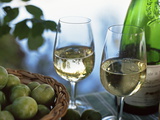 Glasses of White Wine on Table With River Relected in Glass  Loire  France  Europe