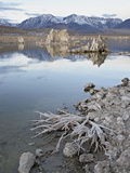 Tufa Formations and Shore  Mono Lake  California  USA