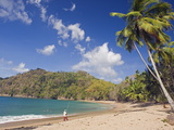 Fisherman on a Palm-Fringed Beach  Englishmans Bay  Tobago  Trinidad and Tobago