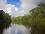 Delta Amacuro  Orinoco Delta  Venezuela  South America