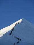 Long Line of Climbers on Summit Ridge of Mont Blanc  4810M  Chamonix  French Alps  France  Europe