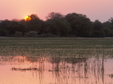Sunset  Okavango Delta  Botswana  Africa