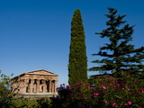 Temple of Hera (Basilica)  Ruins of Paestum  UNESCO World Heritage Site  Campania  Italy  Europe